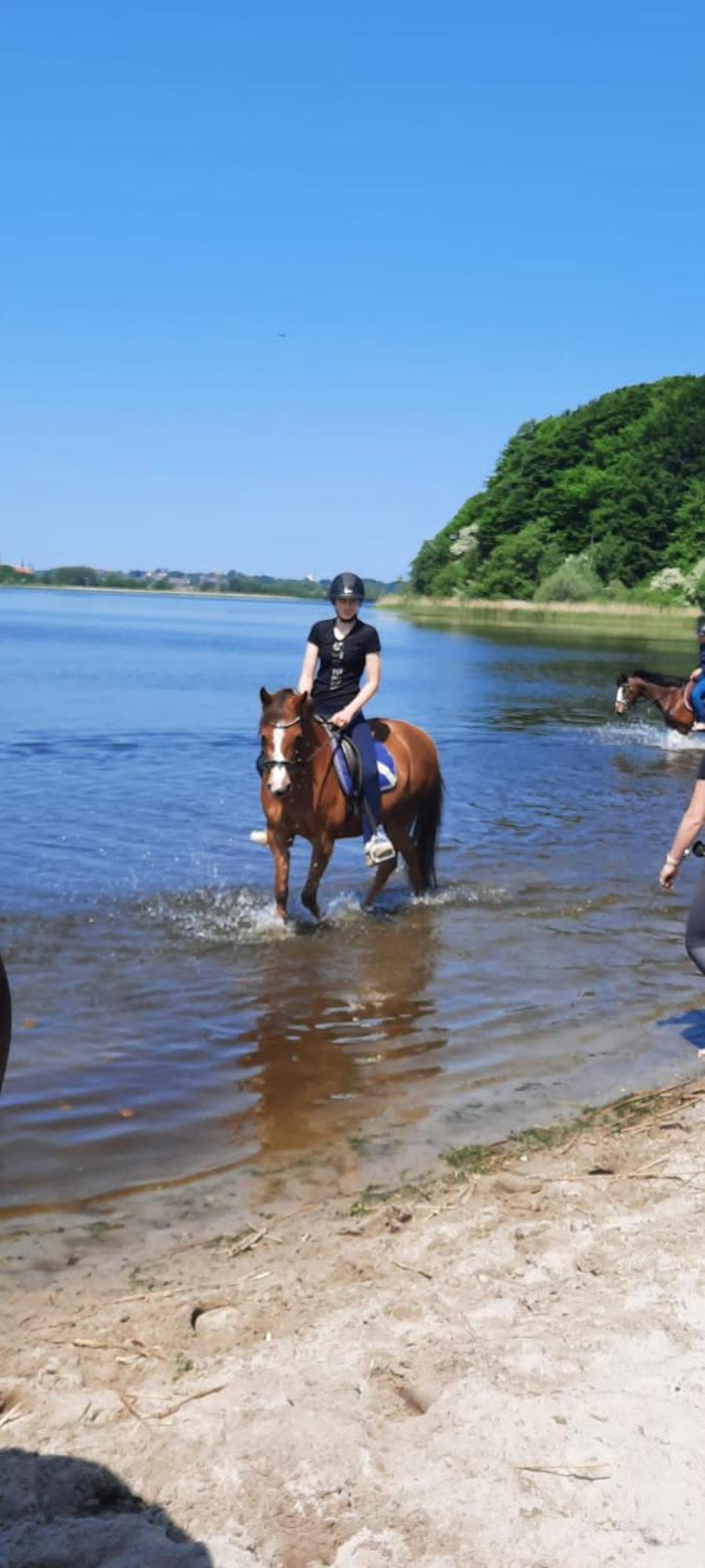 Ferienwohnung Reitanlage Baerenz Selk Екстер'єр фото